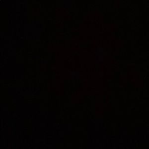 Meet your Posher, Evan